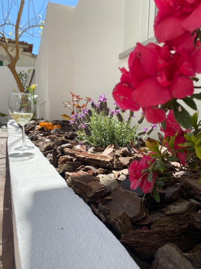Casas Dos Seixos Villa Moledo  Eksteriør bilde
